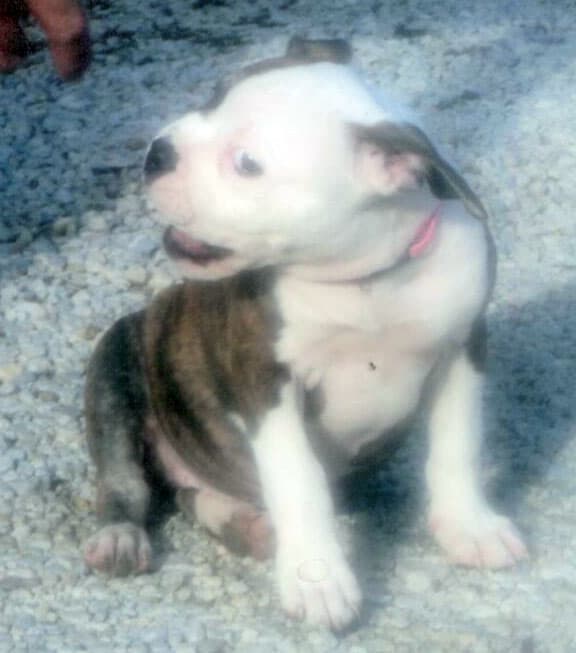 216 LB's Elsie Mae