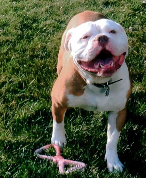 216 LB's Winston