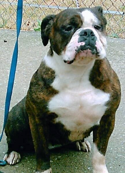 Franklin's New G
