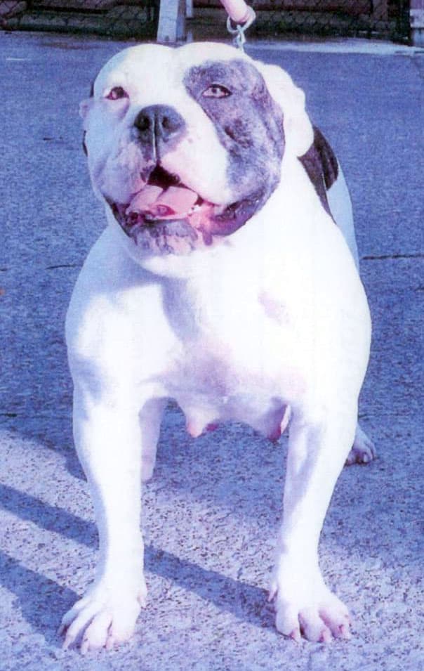 Asia Marie Fuentes of 216 Loyalty Bullys