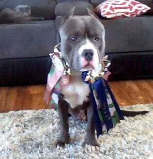 BBFK's Bigg Boss Loki