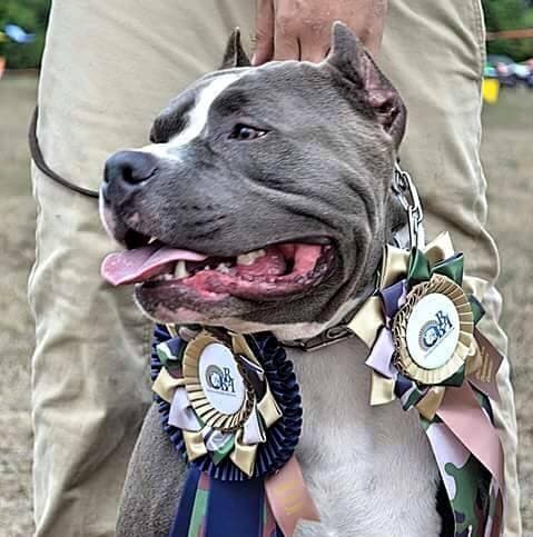 BBFK's Debo