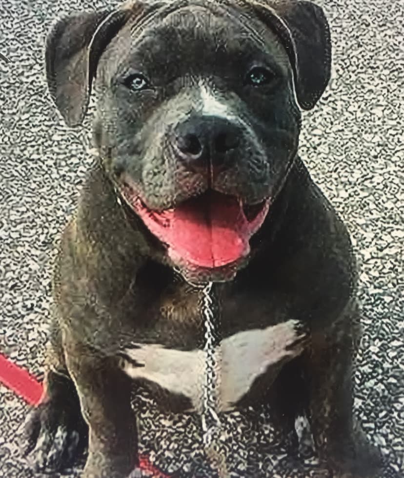 BBFK's Delilah