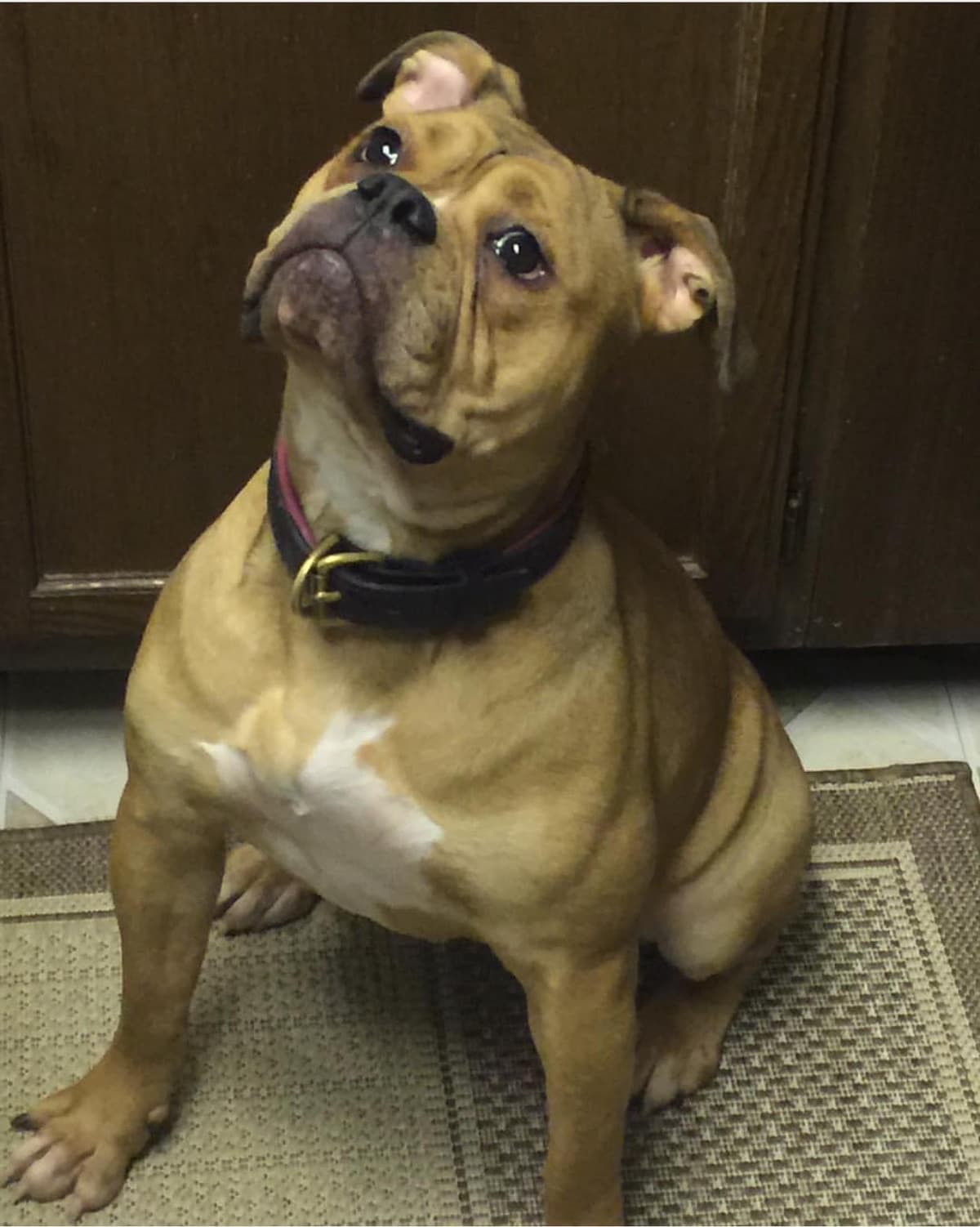 Bella Diamond Snead