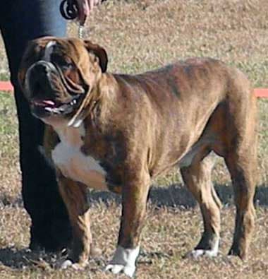 CC's Bacchus Boudreaux