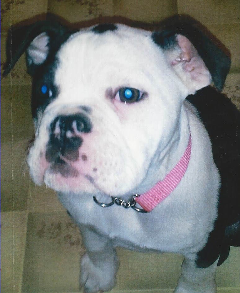 DCK's Miss Winnifred
