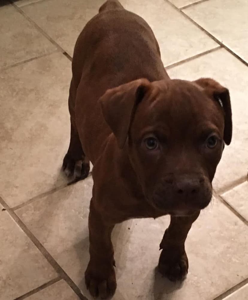 Evolution's Penny