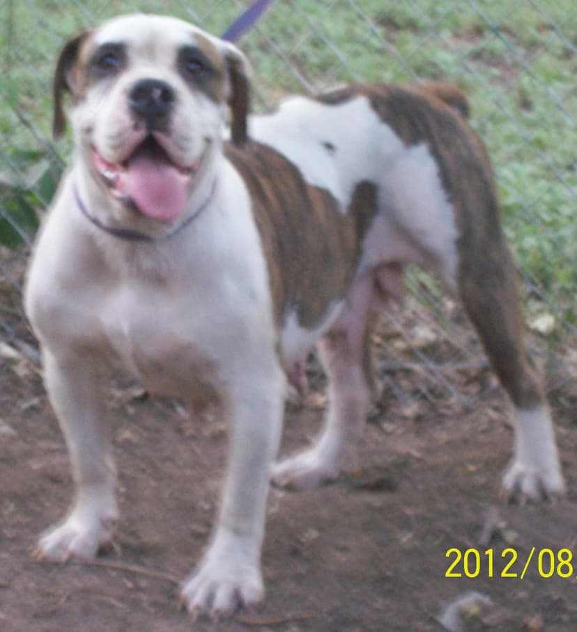 Faith's Adi Lou