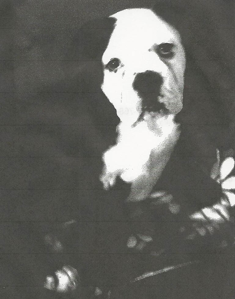 Haven Bullies' Max