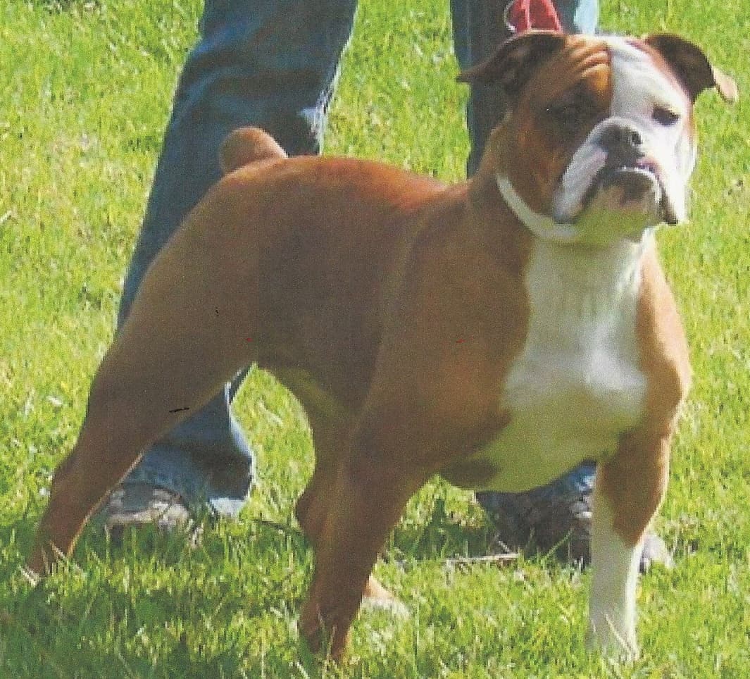 Hitman's Ellie Mae