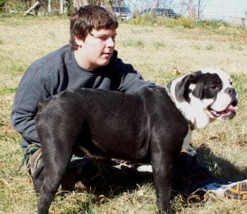 KRB's About Face @ Dreamweaver Bulldogges