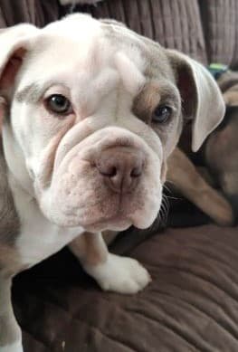 Maritime's Donn Wrinkles