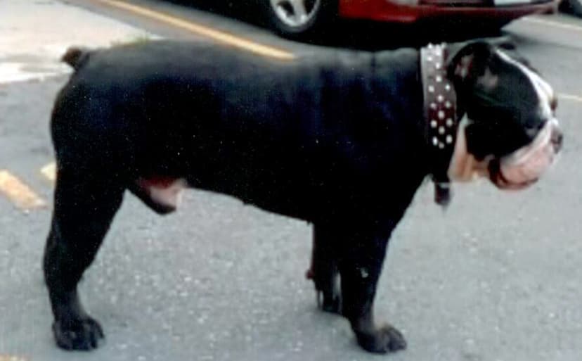 McMillan's Floyd Jr.