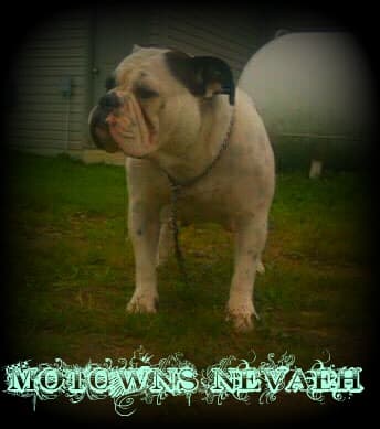 Motown's Nevaeh
