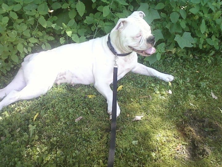 Muddigger's Baby Girl