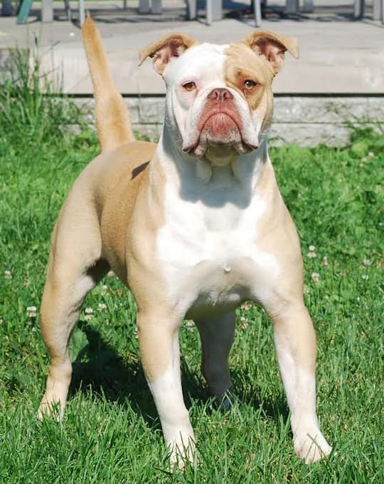NLB's Tysha