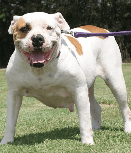 Nyla Lou Trahan