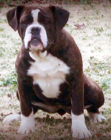 OCB's Minnetonka of Friendship Kennels