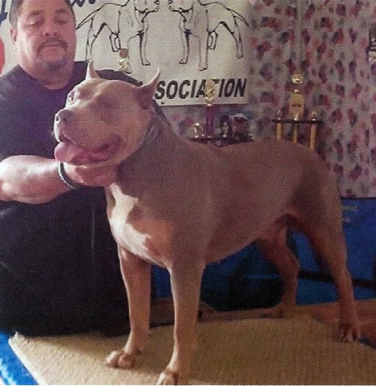 Ofray's Kilo