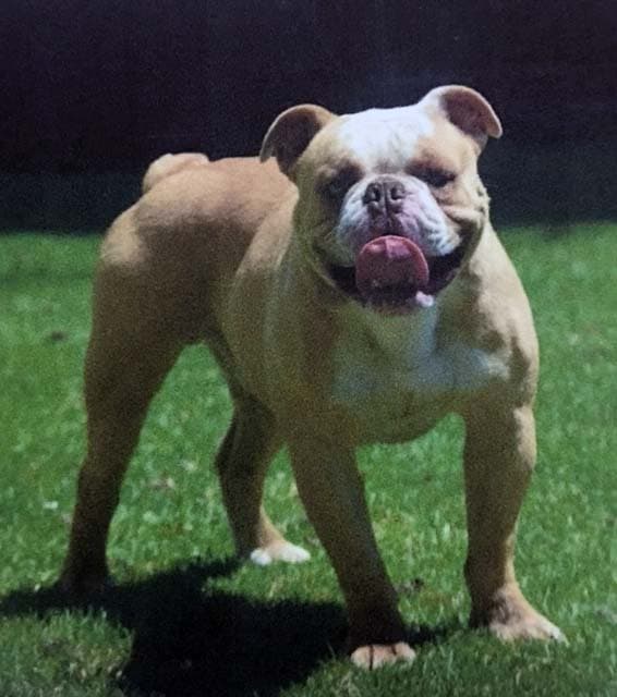 Pound 4 Pound's Booger