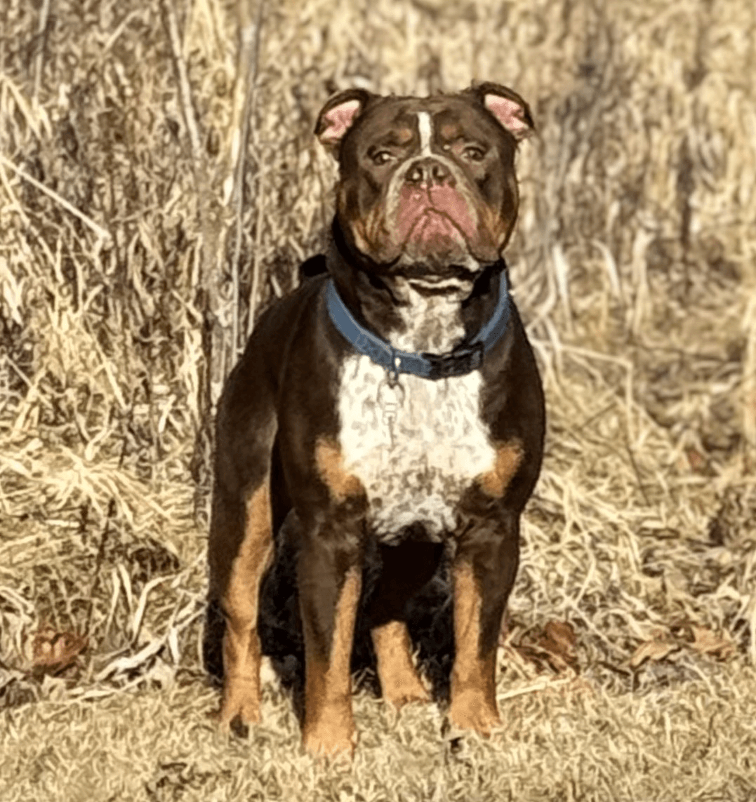 Shoreline's Chubbs