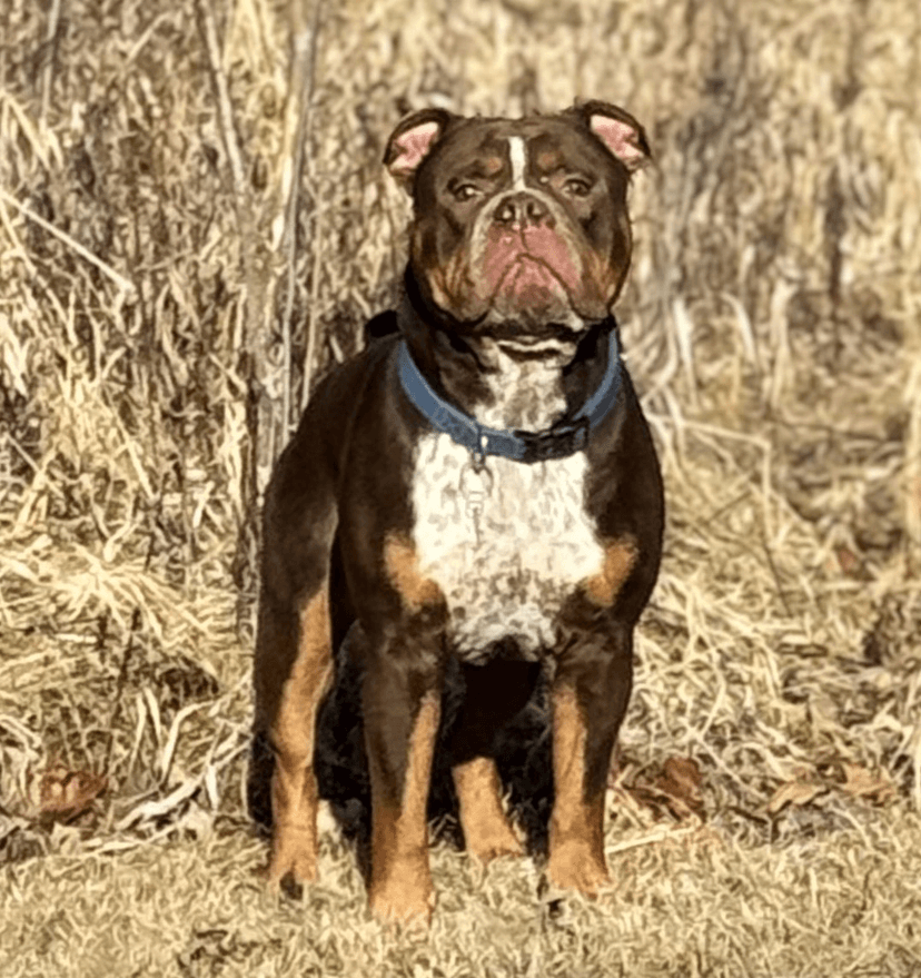 Shoreline's Chubbs