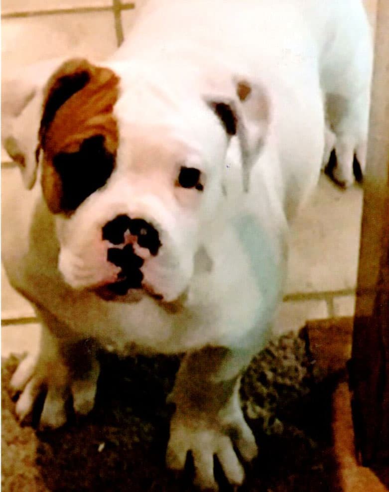 Southern Rebellion's Kash Kilo Hayman