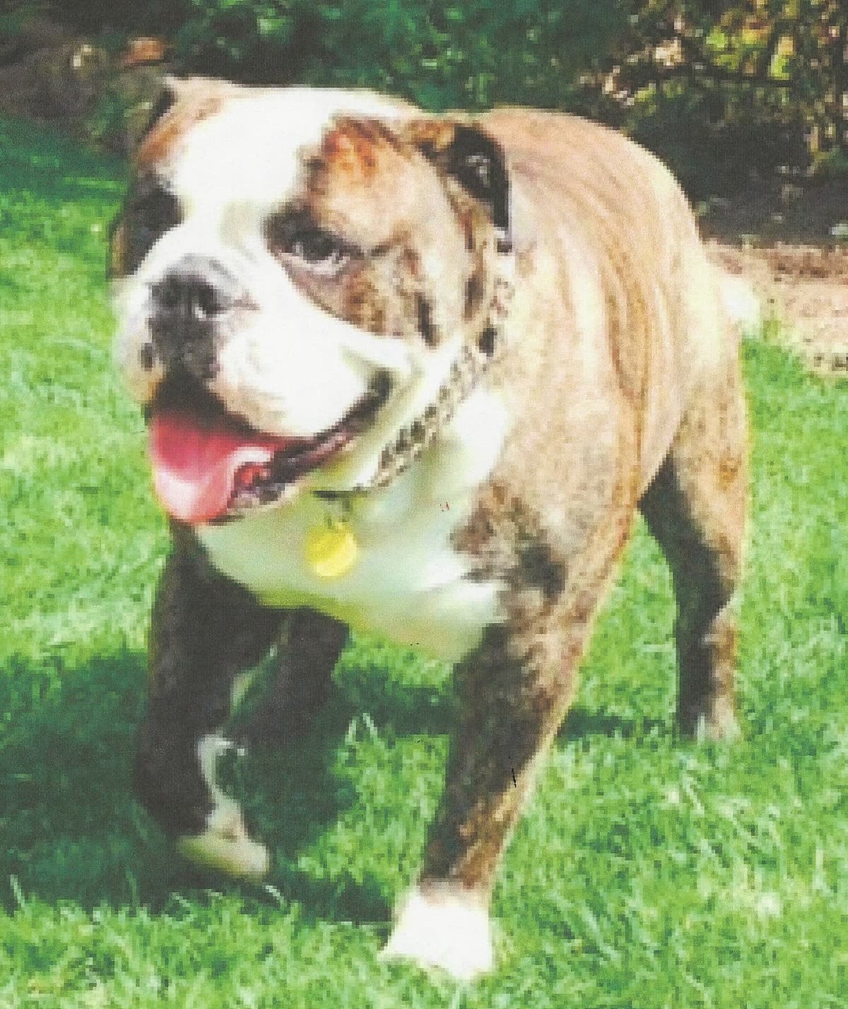 Victorious' Duke