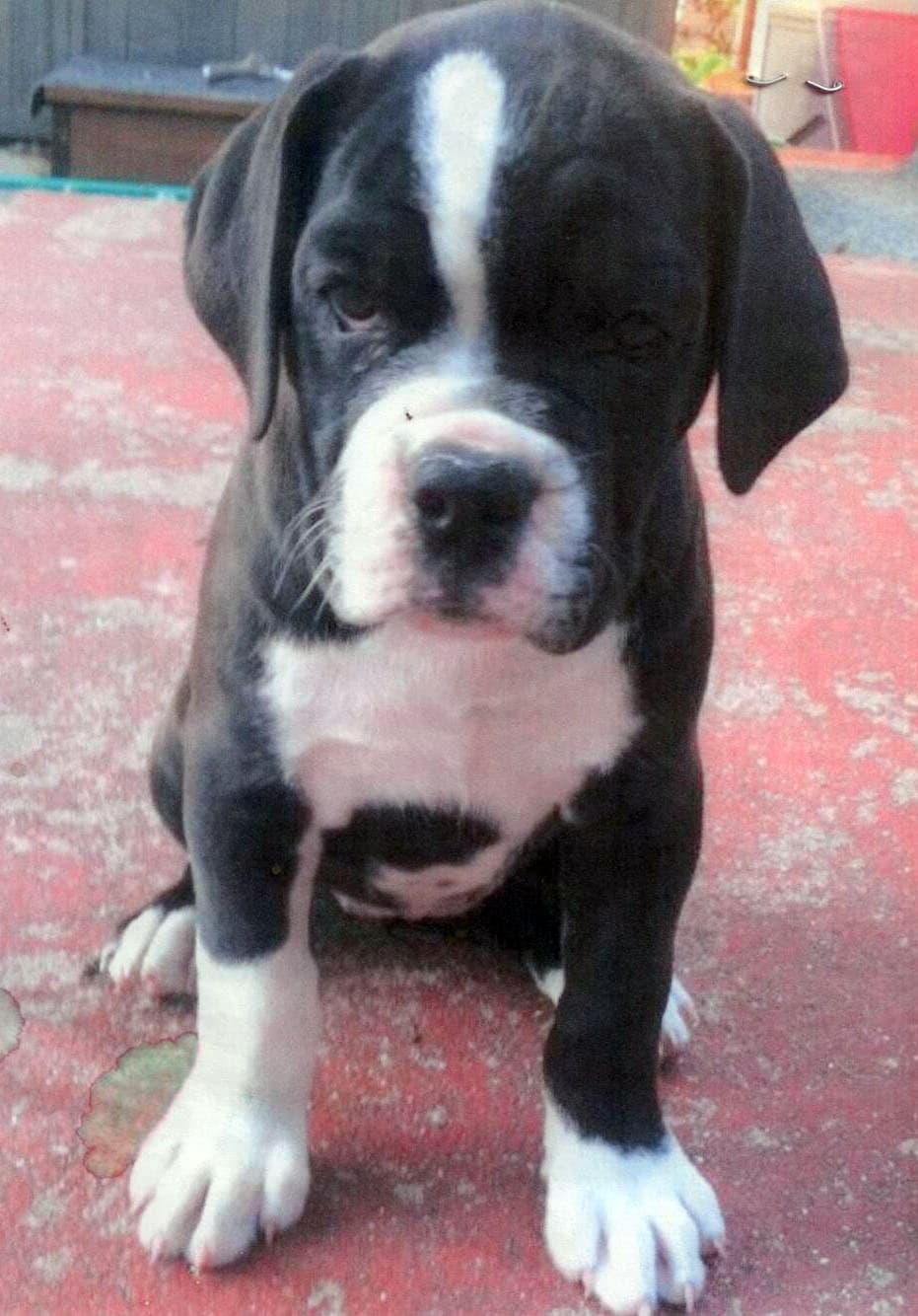 Wallace's Marley Mae Smith