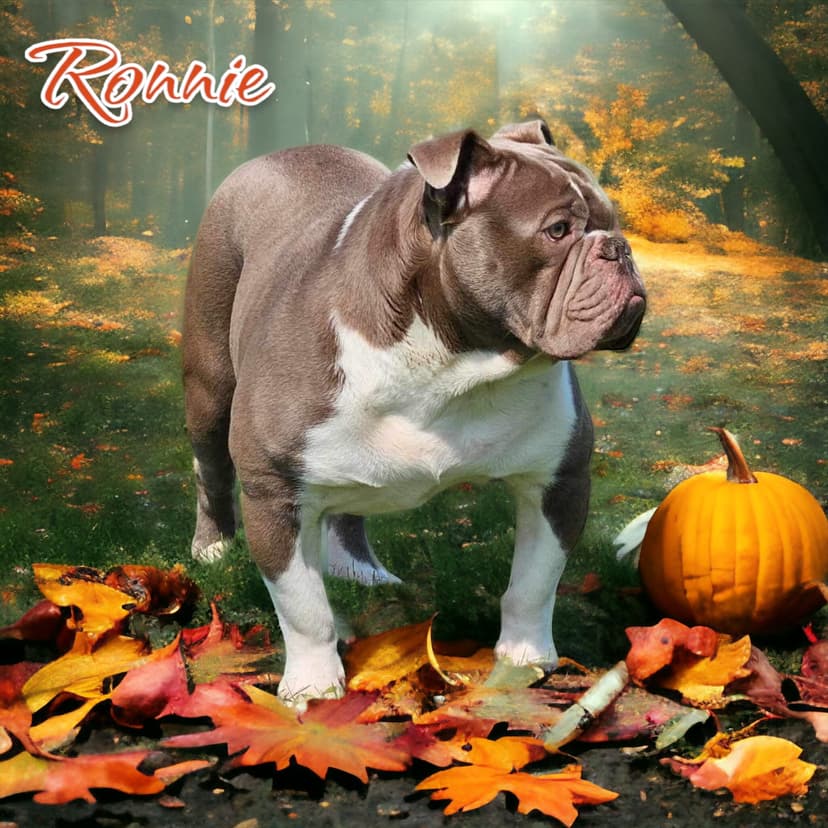 TBK's Puppy 2F3