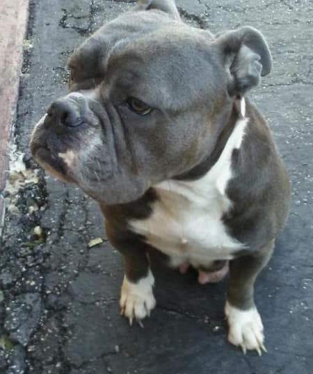 C2CBK's Lil Lonnie