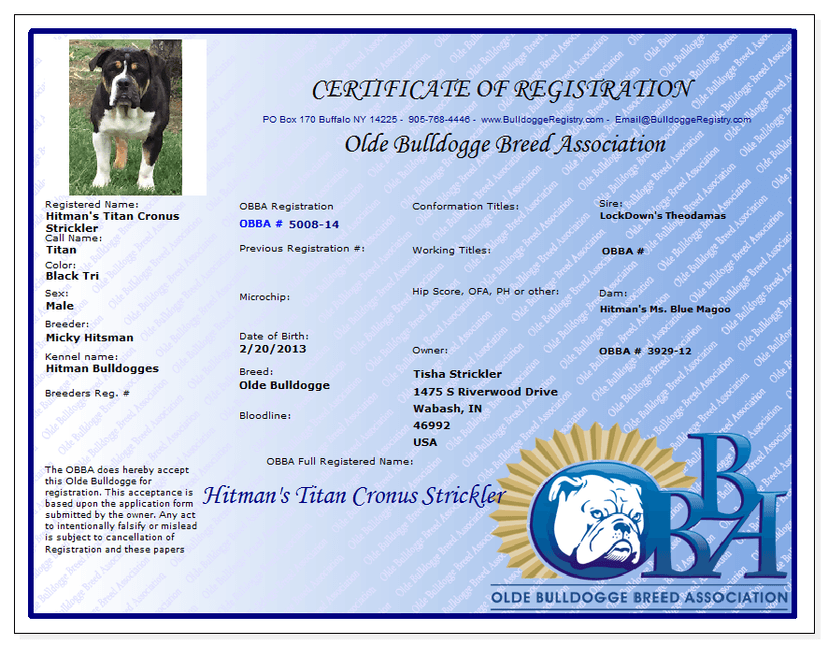 Hitman's Titan Cronus Strickler