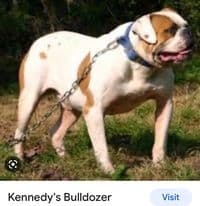 Kennedy's Bulldozer