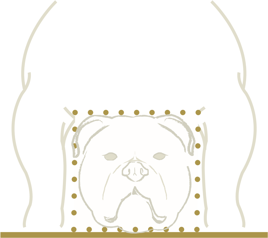 The head fits neatly inside the square formed by the front legs, chest, and ground.