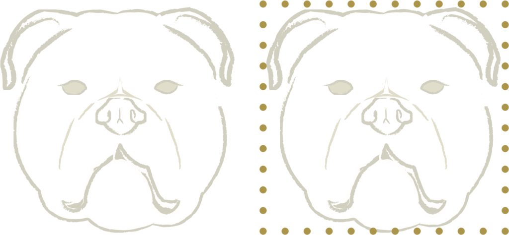 Olde English Bulldogge breed standard diagram
