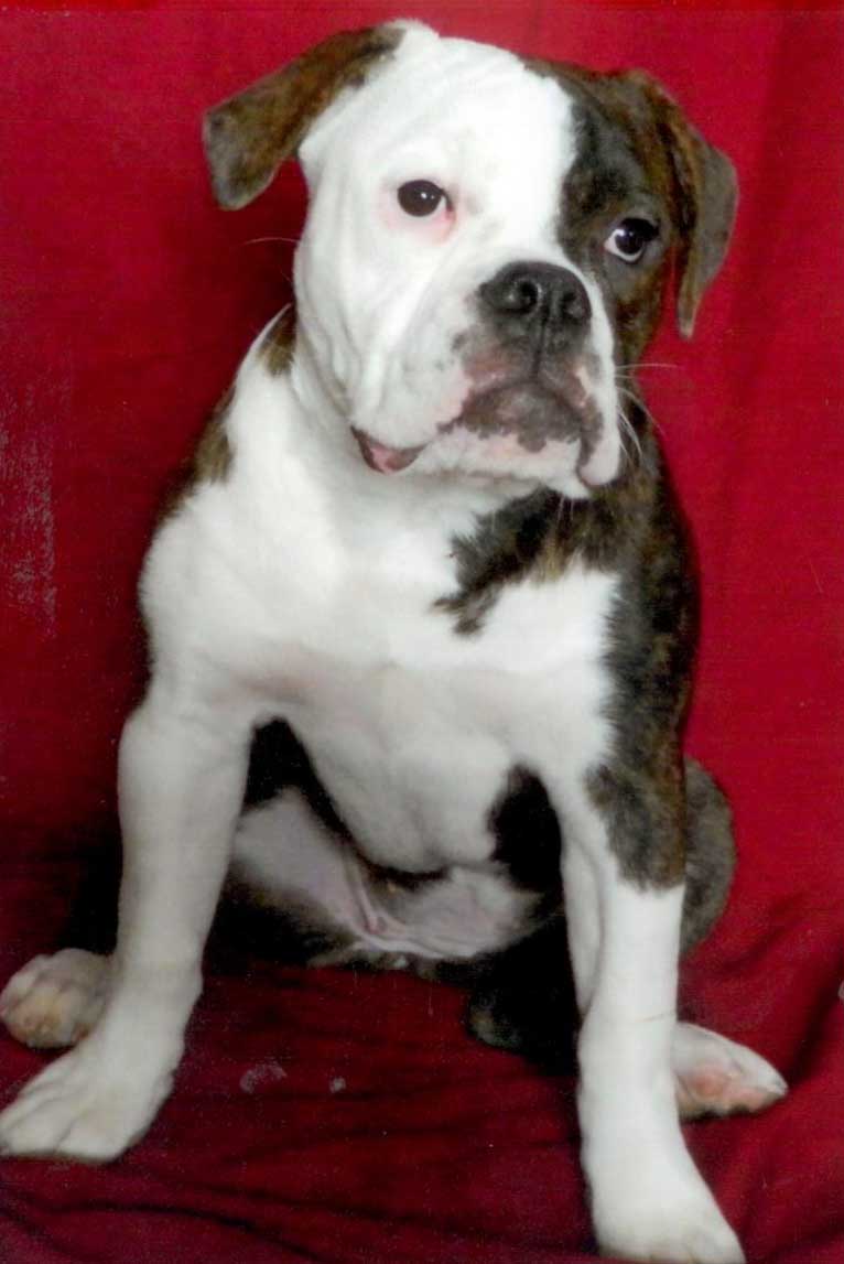Biel's Margo