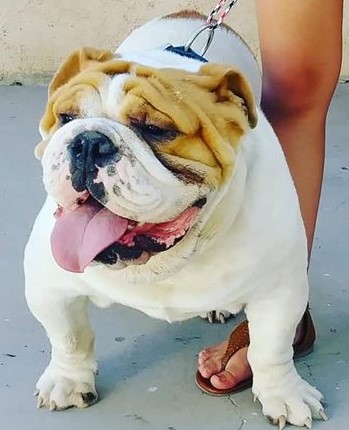 Lopez's Gizmo