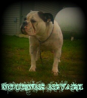 Motown's Nevaeh