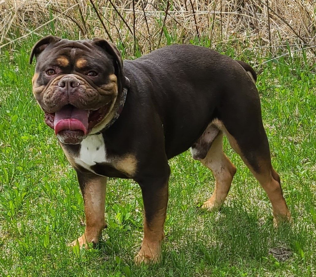 Shoreline's Gotti
